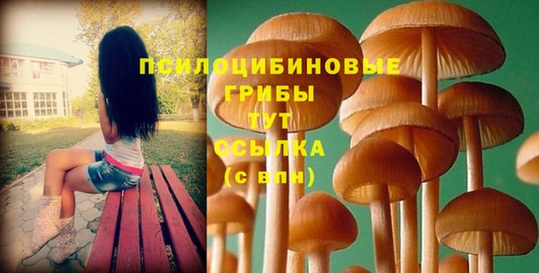 mdpv Киренск