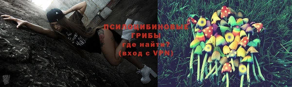 скорость Кинешма