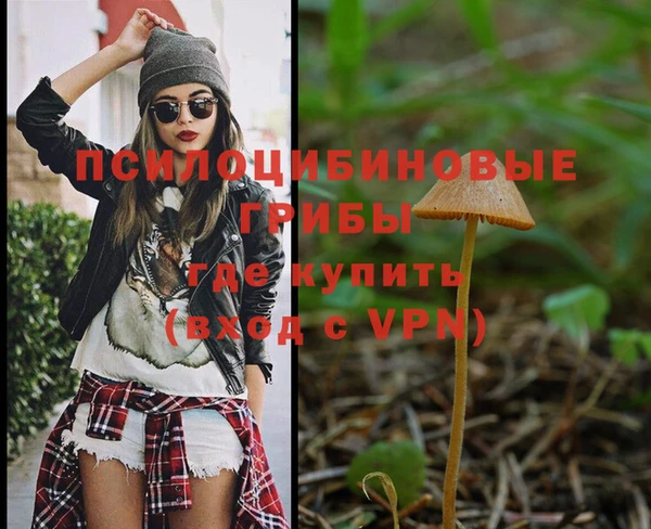 mdpv Киренск