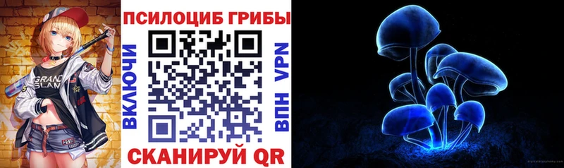 Купить где  Дзержинский  Псилоцибиновые грибы MAGIC MUSHROOMS 